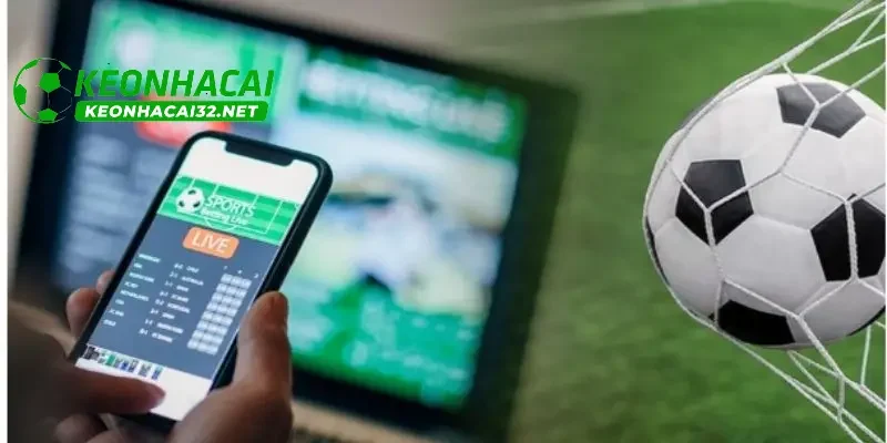 Hành trình phát triển của website đến hiện tại